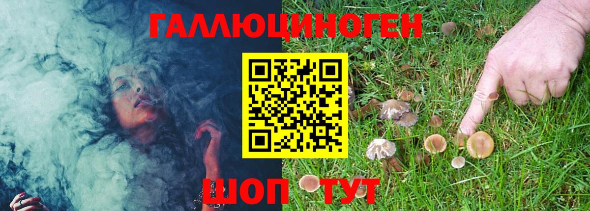 купить  сайты  Вход с VPN  Губкинский  Галлюциногенные грибы Magic Shrooms 