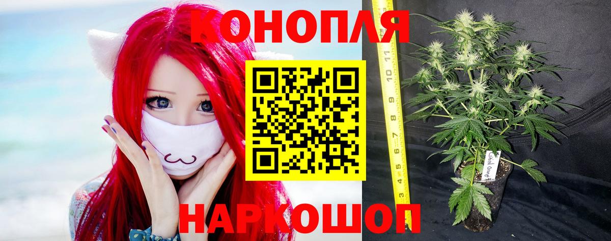 Каннабис марихуана Губкинский